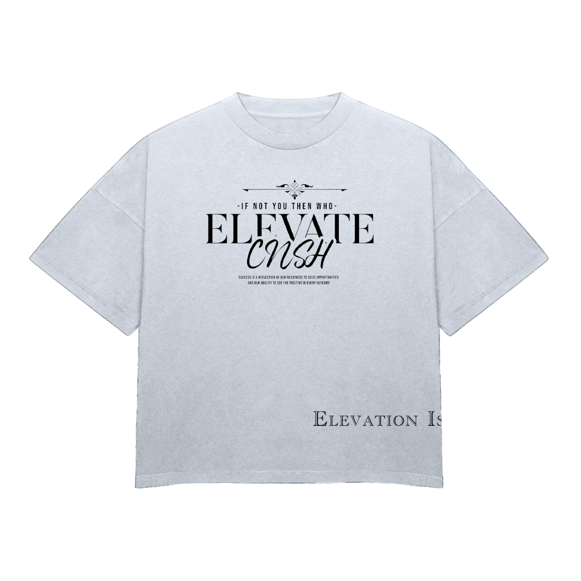 “Inspire” Heavyweight T-Shirt $39.45 - CloudNineStreetHeat