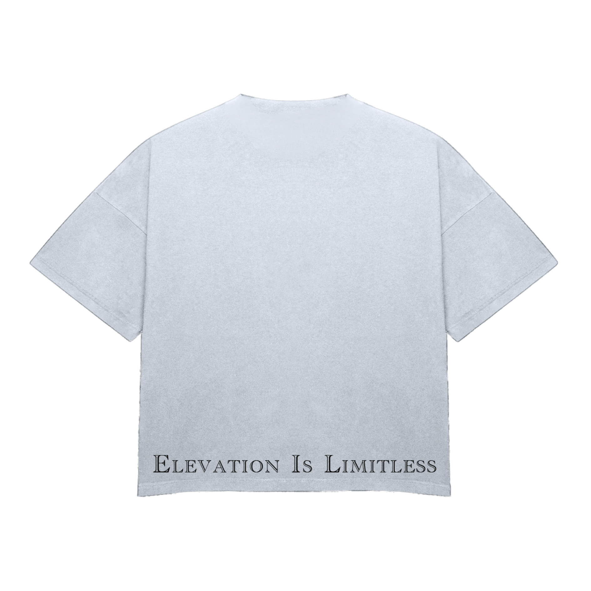 “Inspire” Heavyweight T-Shirt $39.45 - CloudNineStreetHeat