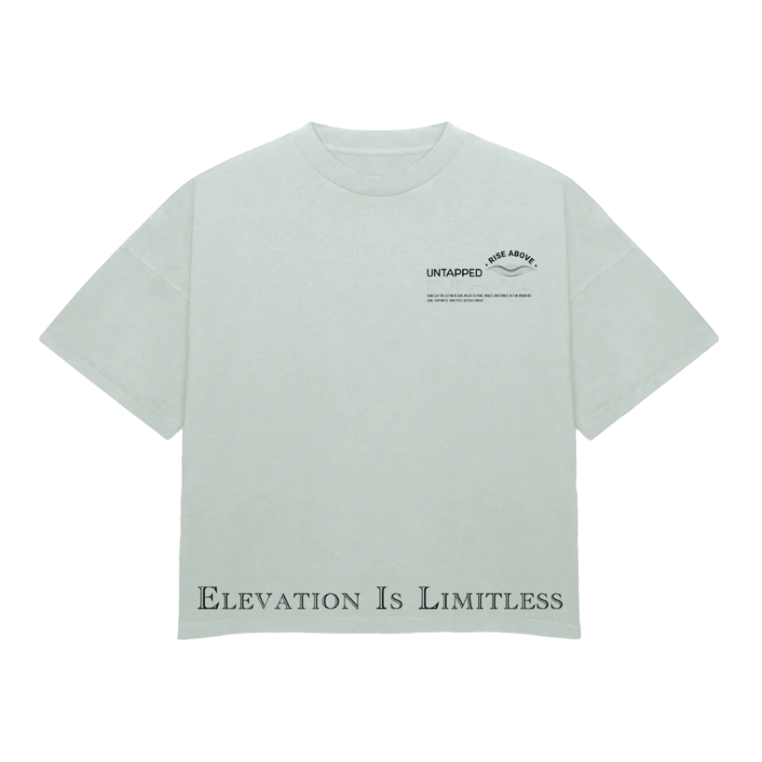 “Inspire” Heavyweight T-Shirt $39.45 - CloudNineStreetHeat