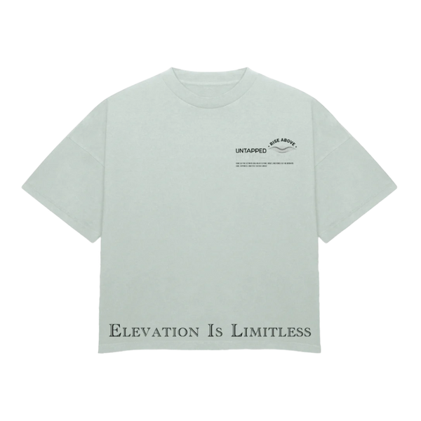 “Inspire” Heavyweight T-Shirt $39.45 - CloudNineStreetHeat